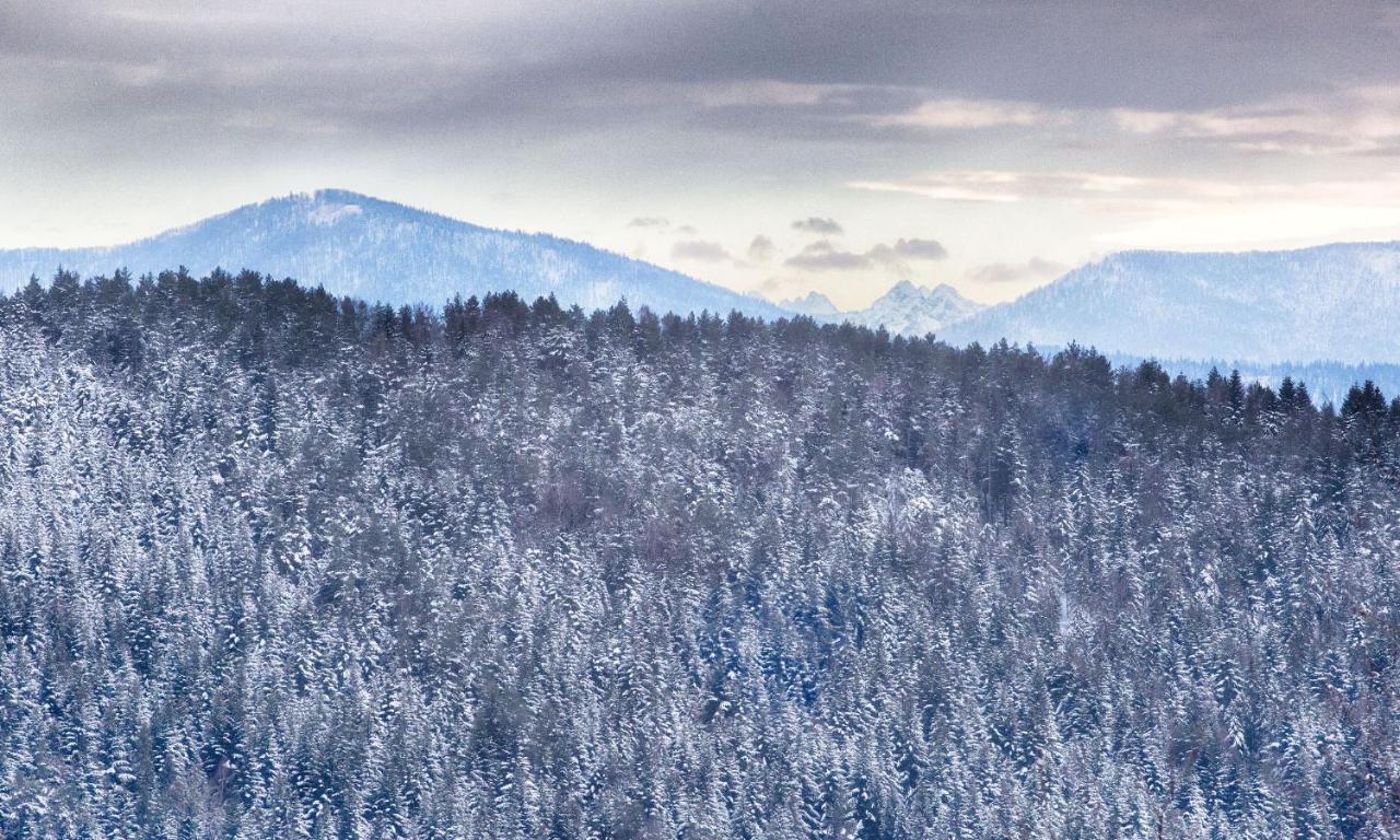 Sloneczny Chelm - Apartamenty W Gorach, Prywatna Sauna Jacuzzi Balia W Cenie, Spa, Grill, Stok Narciarski Myslenice, Sciezki Rowerowe, Rzeka Raba, Widok Na Tatry Eksteriør billede