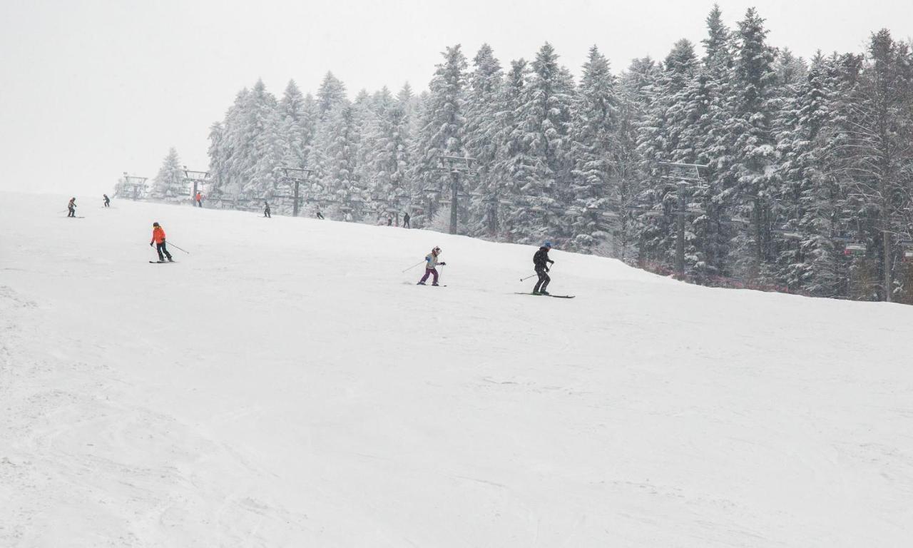 Sloneczny Chelm - Apartamenty W Gorach, Prywatna Sauna Jacuzzi Balia W Cenie, Spa, Grill, Stok Narciarski Myslenice, Sciezki Rowerowe, Rzeka Raba, Widok Na Tatry Eksteriør billede